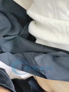 免费成年在线网站,日本一区自拍偷拍视频
