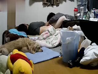 久久久久久电影一区二区
